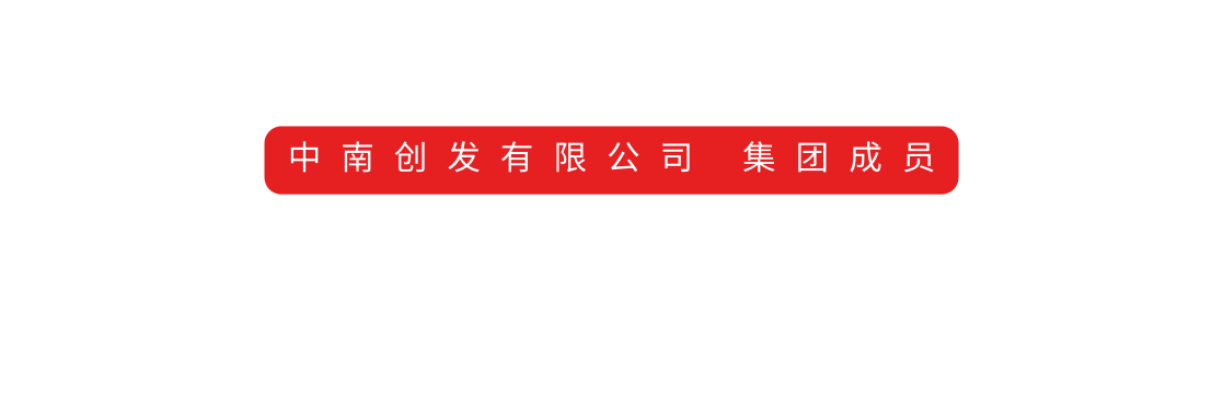 中南创发有限公司 集团成员